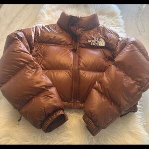 The North Face Nuptse Cropped Jacket, 700 Down, Dark Oak, Woman Small